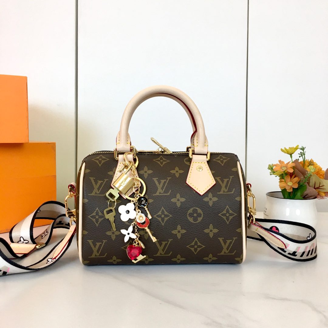 LV bag 395
